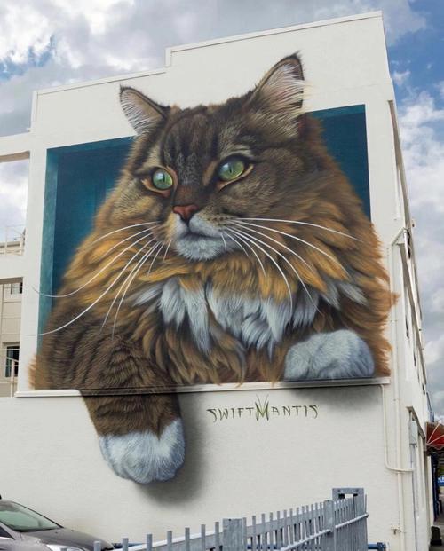 猫动物3d写实涂鸦墙绘彩绘