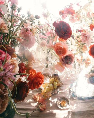 摄影作品欣赏来自摄影师brynnalevine的花卉摄影