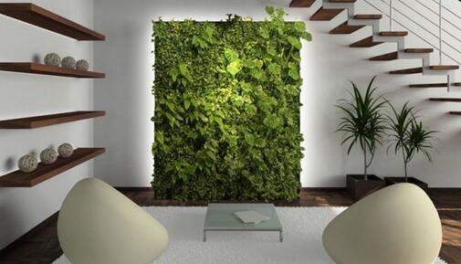 重庆室内植物墙提升你的室内颜值