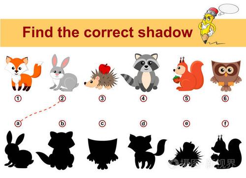 找到正确的影子孩子们的教育游戏森林动物