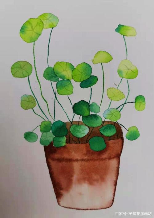 分享一组水彩绘画植物系作品用画笔描绘植物的美丽