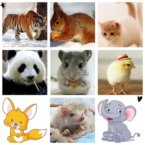 小朋友们很喜欢小动物各种小动物各有特点一起来看看你喜欢什么动物