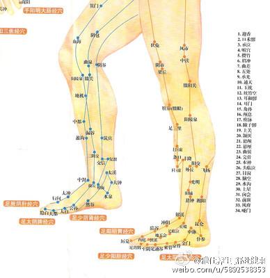 中医认为腿部有人体经络的足三阴经和三阳经这六条经脉如果能经常