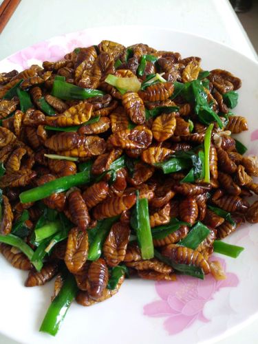 p蚕蛹炒韭菜是一道菜品属于家常美食是经典鲁菜之一.