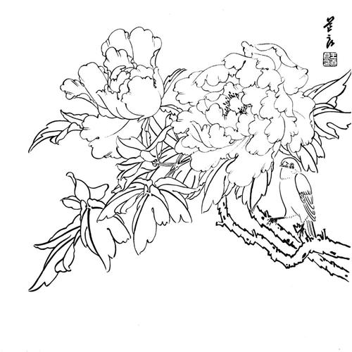 花卉植物工笔画线稿素材白描线稿太美了