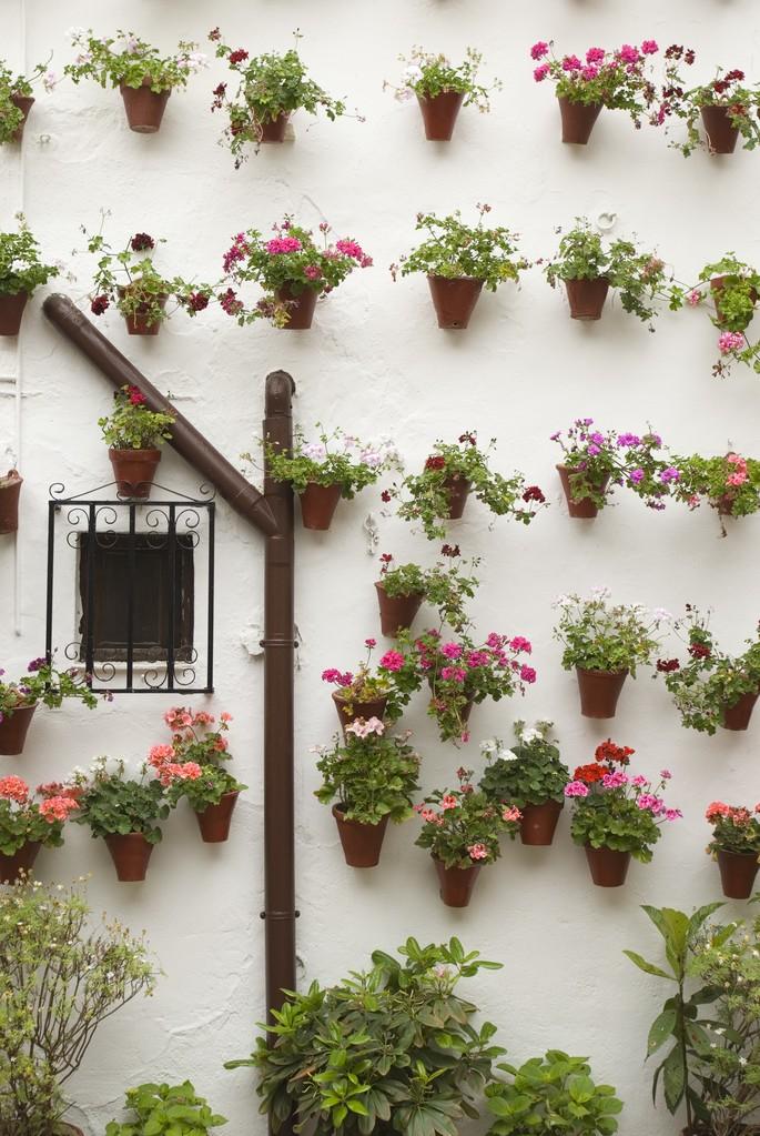 外墙用的花盆外墙用的花盆