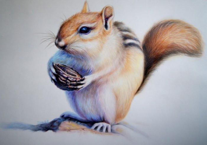 彩铅小动物怎么画如何才能用彩铅画出有神的小动物