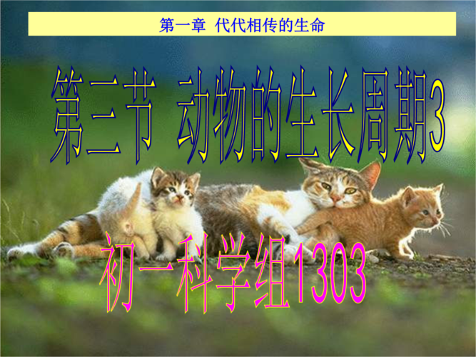 浙江省瑞安市新华中学七年级科学下册《动物的生长时期》课件