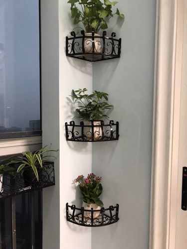 架子壁挂小花架置物架绿萝花盆植物转角卧室装饰墙角三角客厅阳台
