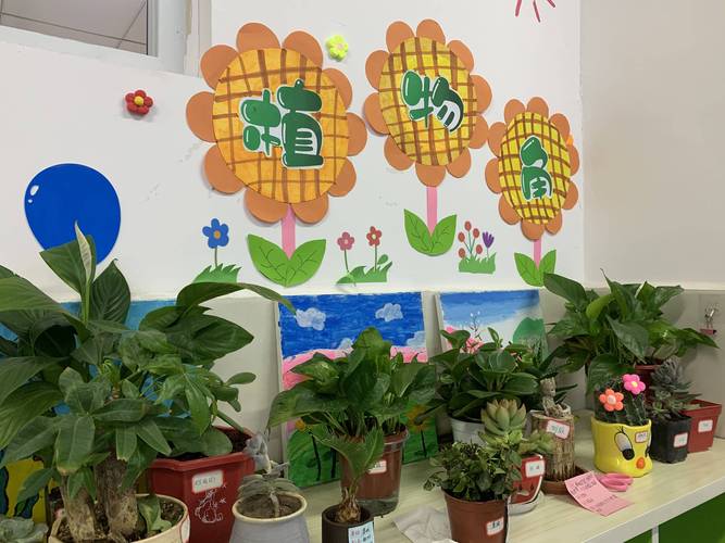 小角落大世界惠济区江山路第一小学班级植物角展评活动