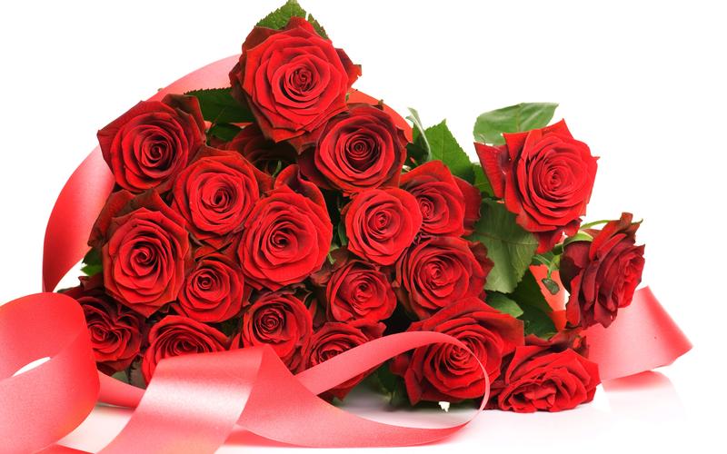 情人节唯美浪漫鲜艳红玫瑰花高清特写桌面壁纸三