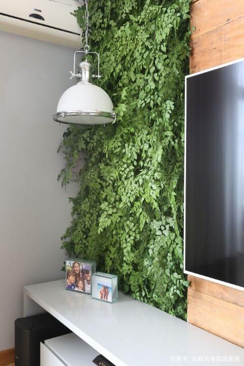电视背景植物墙7个客厅背景绿植景观案例分享