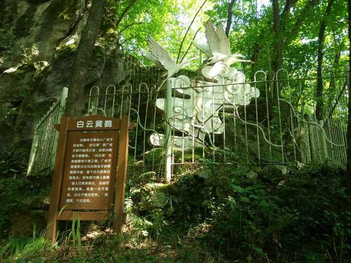 白云洞的传说武汉市文物保护单位白云洞被列为1983年2白云洞最好的