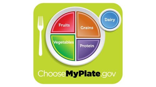 美国政府公布全新饮食结构图我的餐盘图