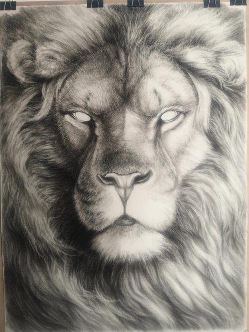 素描雄狮绘画过程