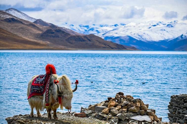 西藏旅游西藏不能错过的景点羊卓雍措