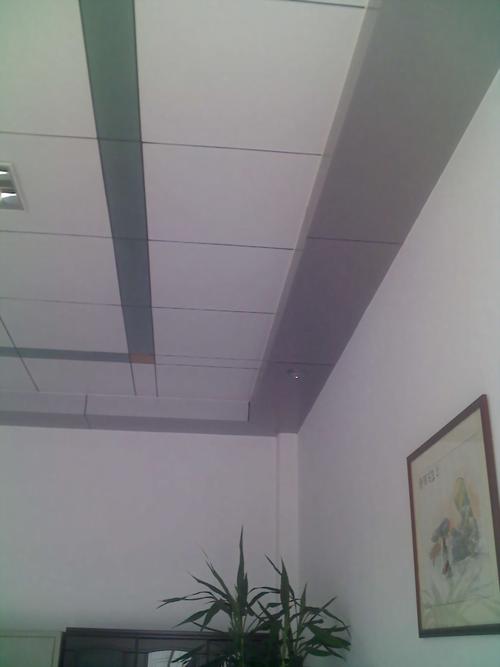 请问广州地区天气潮湿能否用铝塑板材料吊睡房客厅饭厅天花板