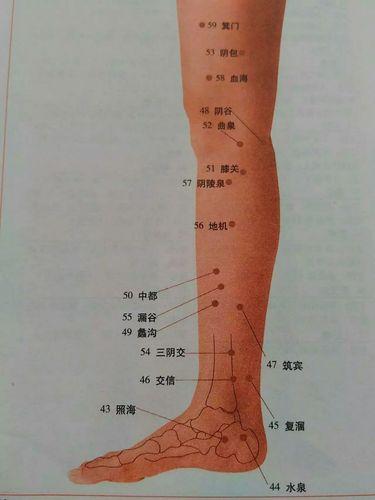 大腿内侧6条经络分布高清图认识经络之