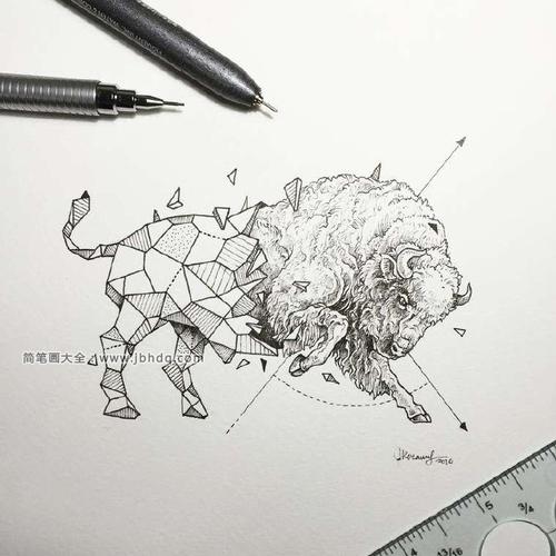 9张创意动物手绘铅笔画2铅笔画
