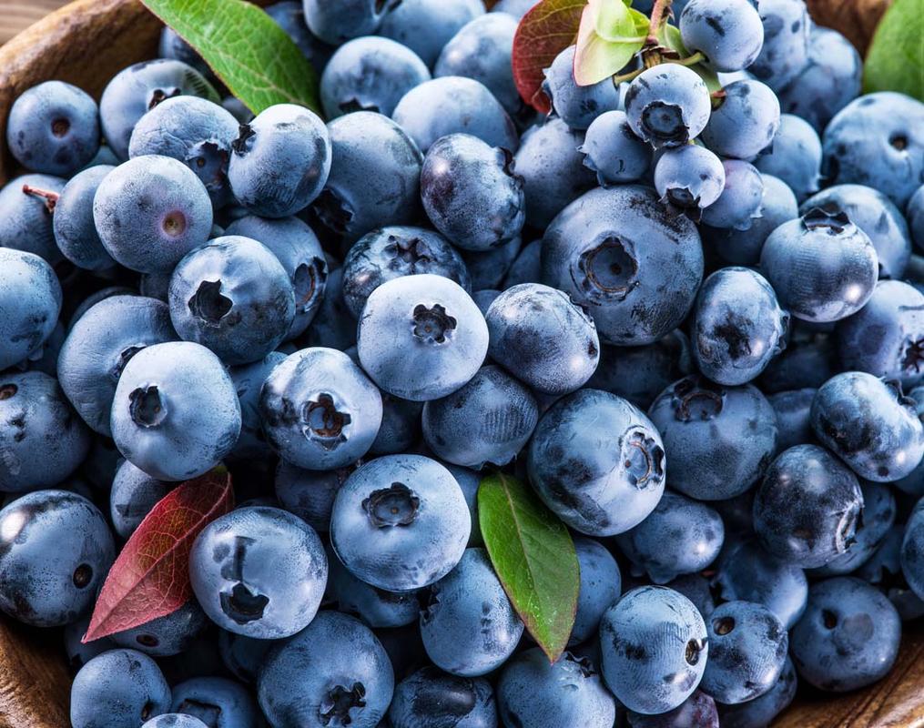 关键词篮子甜蓝莓蓝莓果肉蓝莓汁进口蓝莓水果新鲜水果水果蔬菜超市