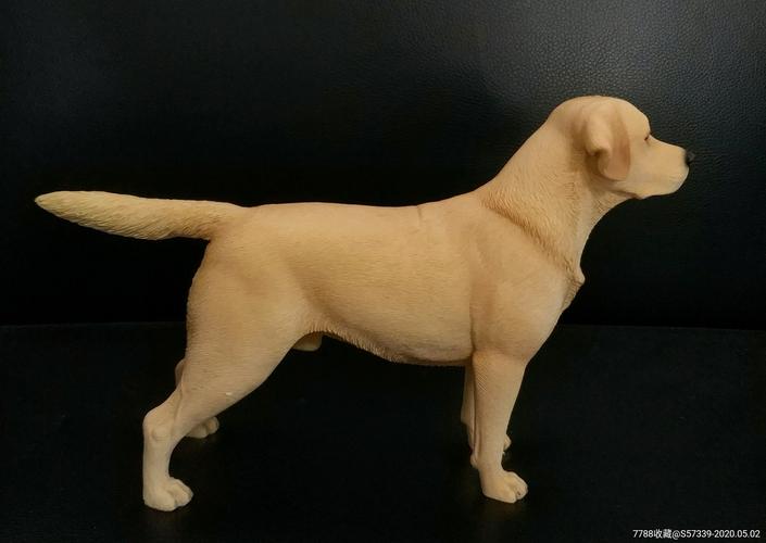 16仿真动物模型《拉布拉多寻回猎犬》尺寸23614cm重498g
