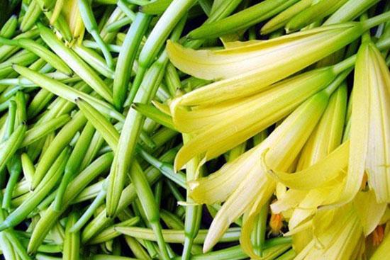 黄花菜可健脑降血压推荐3种黄花菜的健康吃法