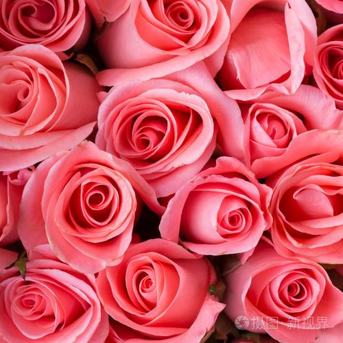 粉红色玫瑰花花束复古背景