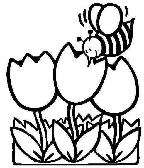 郁金香和蜜蜂春天主题简笔画