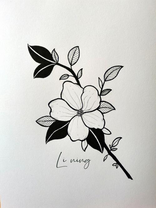 针管笔黑白手绘花卉