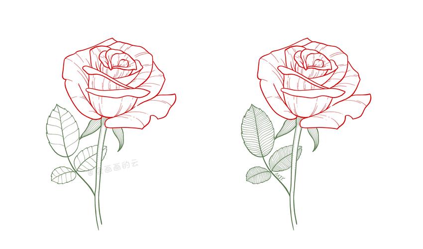 玫瑰花简笔画8步教你画简单又好看的玫瑰花