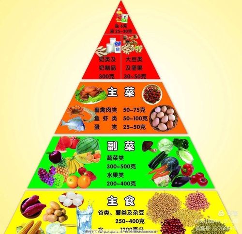 儿童膳食结构金字塔