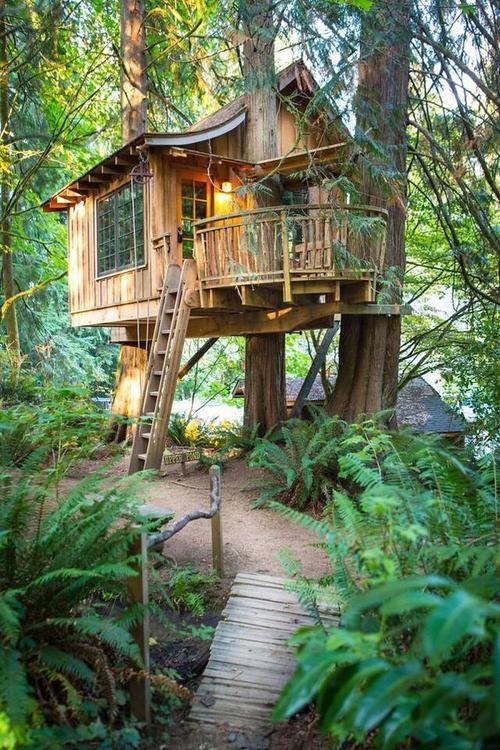 生态树屋设计不一样的居住体验