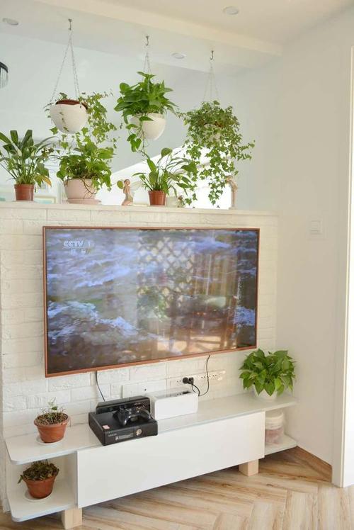 电视背景墙都不用做了直接用吊兰和绿萝装饰生机盎然