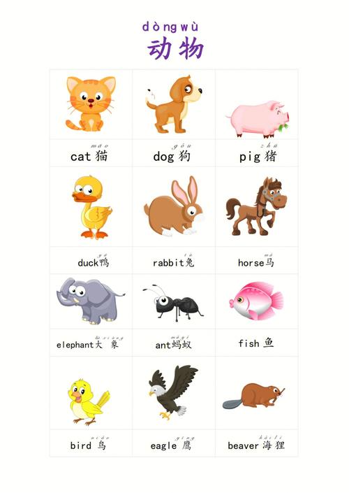 幼儿学生英语单词卡片动物图片英语拼音