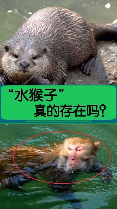 水猴子真的是存在的吗