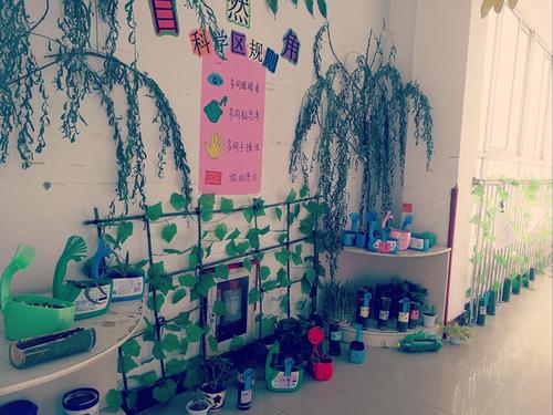 小园丁养成记大东中心幼儿园开展自然角植物种植观察活动