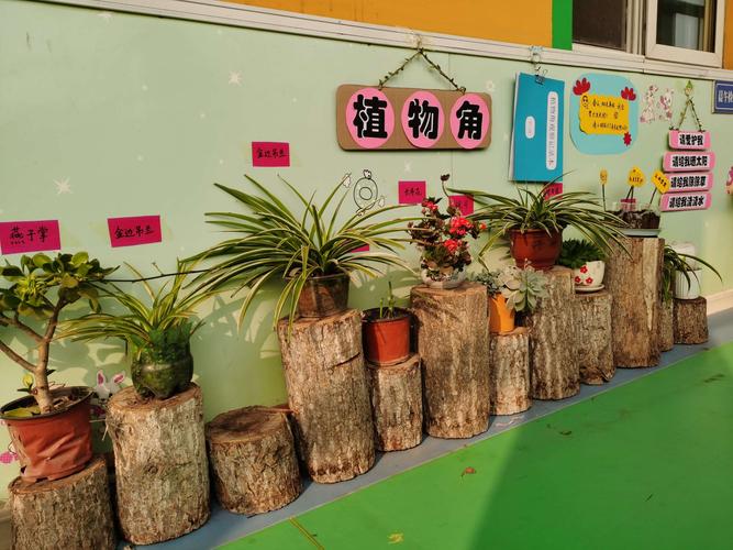 小小植物角快乐伴成长周庄镇中心幼儿园植物角创设活动