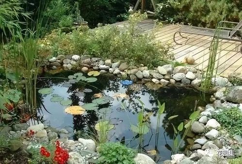 心生禅意的庭院池塘设计