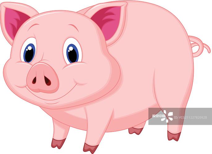 猪动物哺乳纲猪仓房乱画猪肉插画展开全部关键词相似图查看全部本