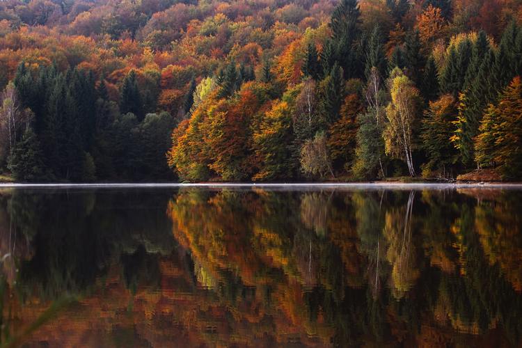 秋天的景色图片大自然树林秋季秋天