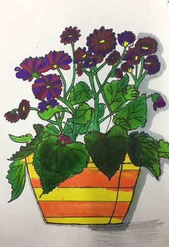 植物写生儿童画