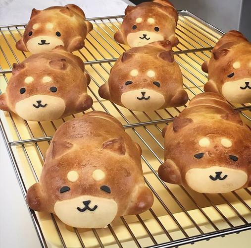 日本动物面包精致可爱每天当早餐心情美丽一天
