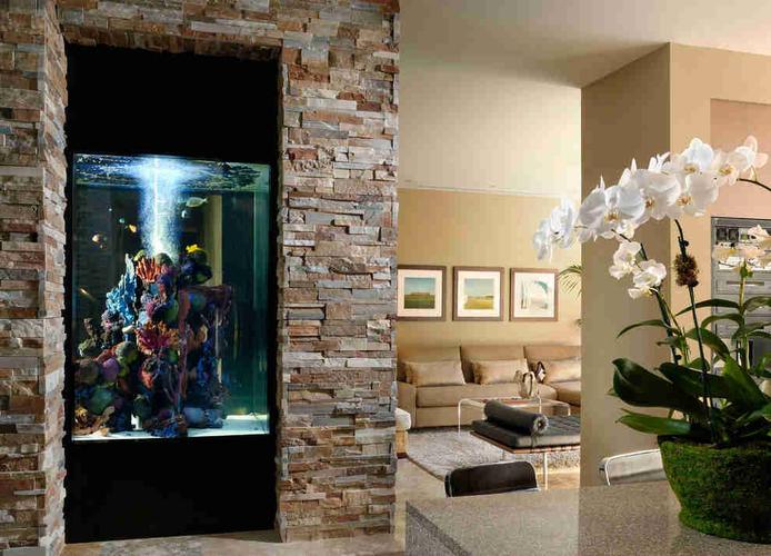 钢化玻璃的坚固鱼缸镶嵌在砖石中间形成优美的房间装饰品灵动的游鱼