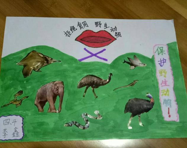 临沂北城小学美术展第三期人与自然和谐共生之《保护野生动物》