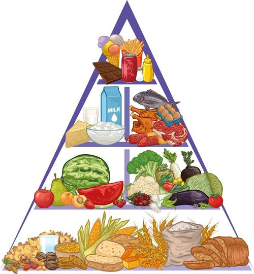 食物金字塔健康饮食金字塔的绘制.