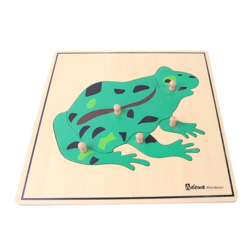 蒙特梭利生物教具-青蛙嵌板拼图