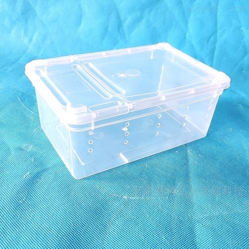 智科昆虫饲养观察盒透明塑料方盒带气孔