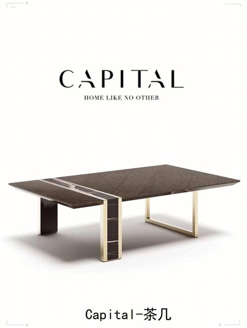 capitalcollection沙发茶几组合不锈钢家具