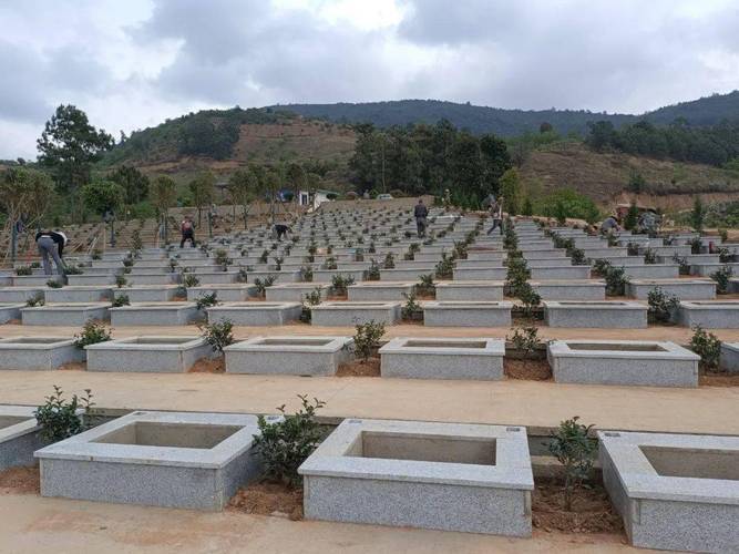 《紫金乡乡村公益性公墓规划建设实施方案》组建自然资源农业农村