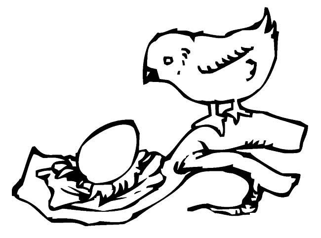 小鸟和蛋动物简笔画步骤图片大全